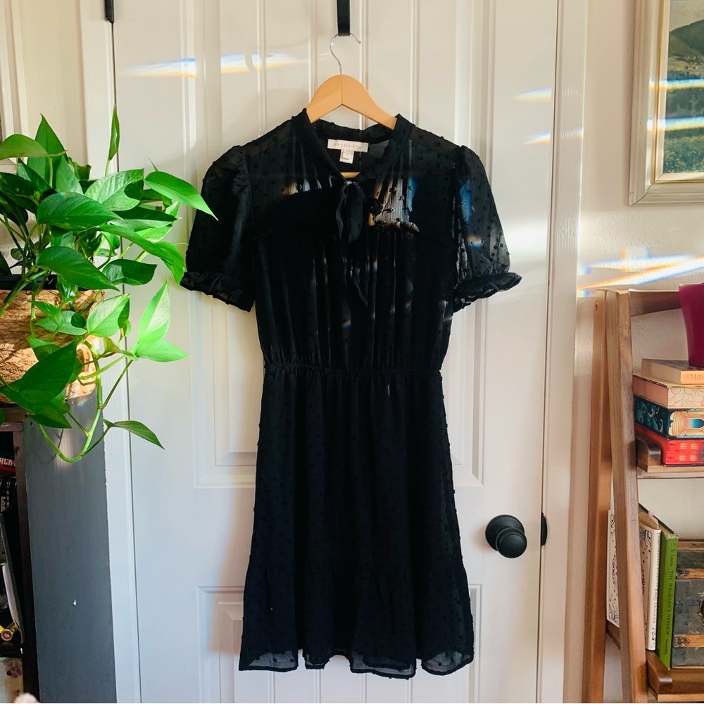 Monteau Black Swiss Dot Tie-Neck Mini Dress